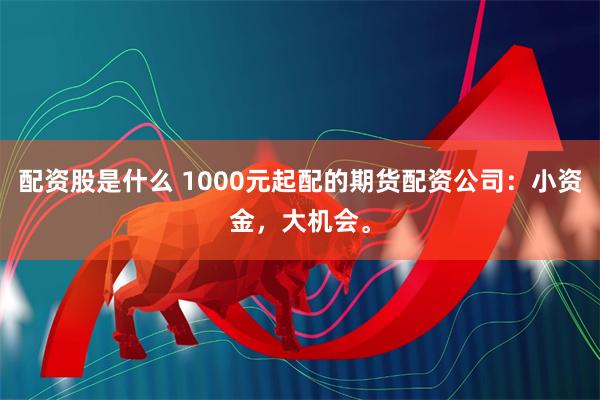 配资股是什么 1000元起配的期货配资公司：小资金，大机会。