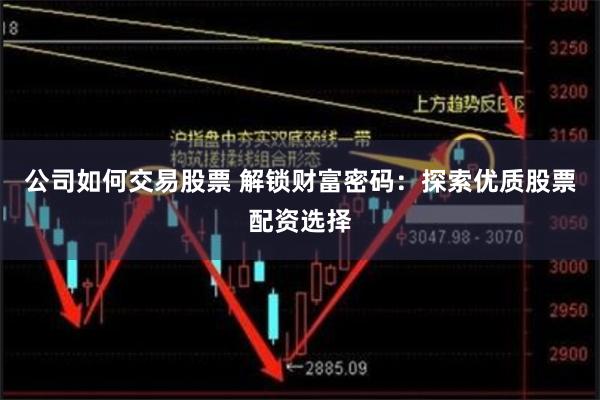 公司如何交易股票 解锁财富密码：探索优质股票配资选择