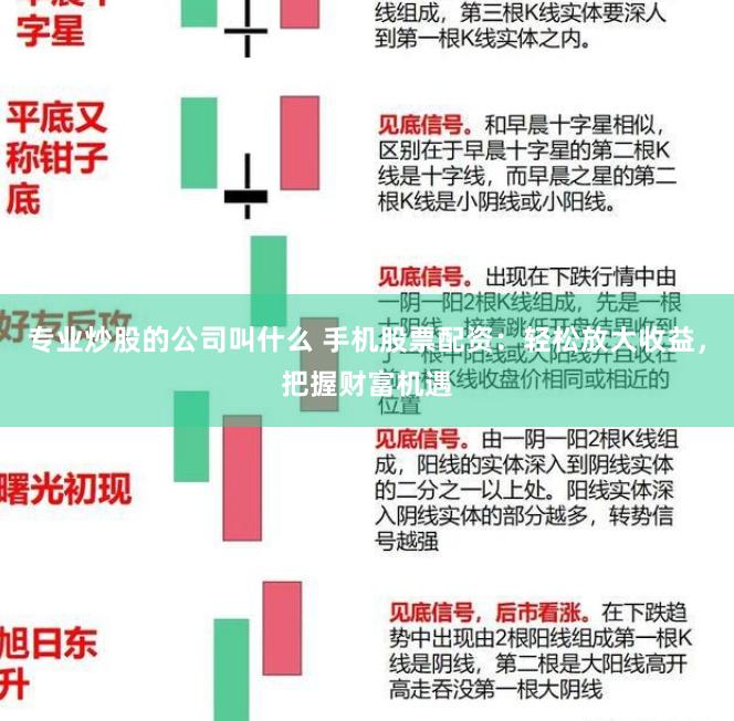 专业炒股的公司叫什么 手机股票配资：轻松放大收益，把握财富机遇