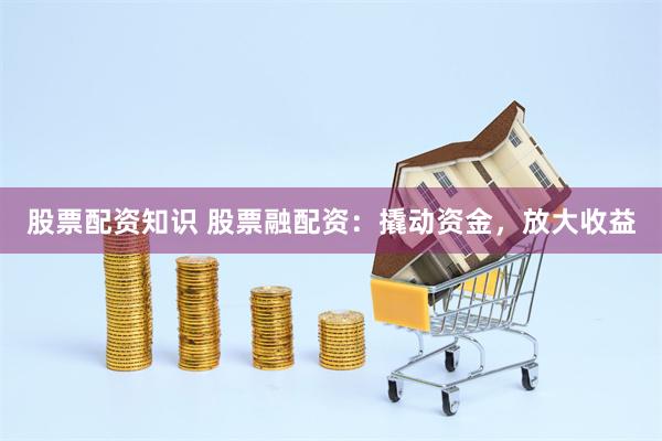 股票配资知识 股票融配资：撬动资金，放大收益